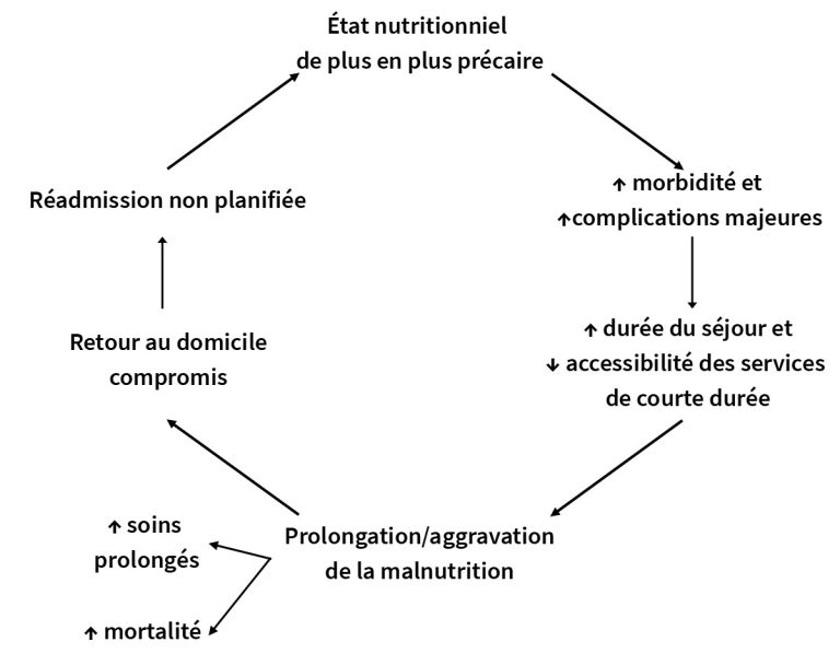 L apport des diététistes nutritionnistes au réseau de la santé ODNQ